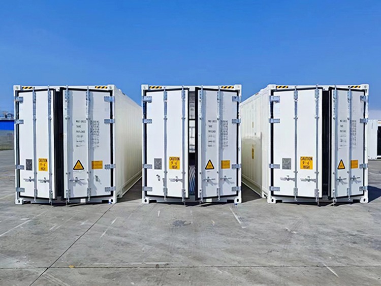 13114 x 2274 x 2554 mm Internal Dimensions 45ft High Cube Thermo King Refrigerator Freezer Cold Room with BV Certificate