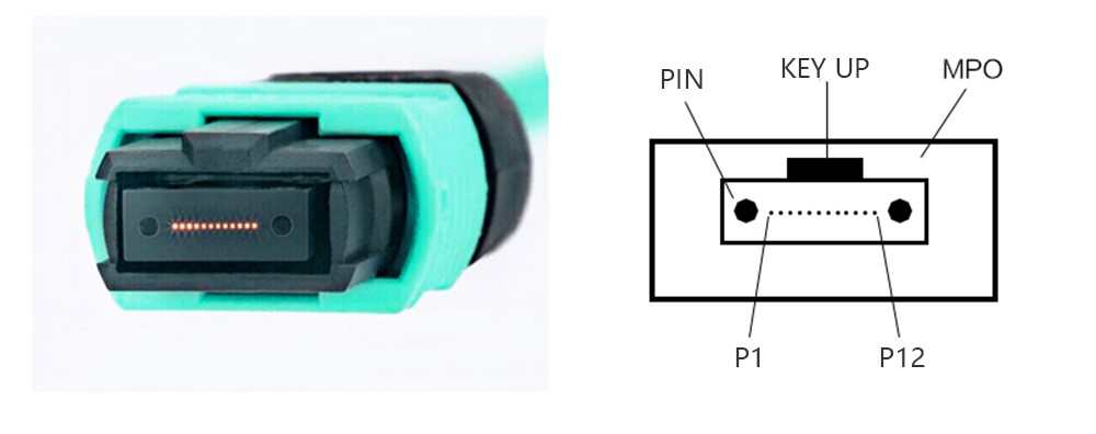 CATV OM3 OM4 8 Core Mpo Mtp Optical Fiber Patch cord