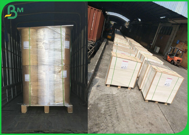 Environmentally friendly 50gr 60gr Transparent Tracing Paper In 50 Yard Per Roll