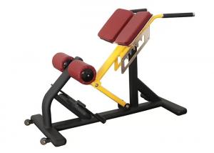China Commercial Gym Weight Bench Rack Fitness Equipment Roman Ab Exercise Chair on sale