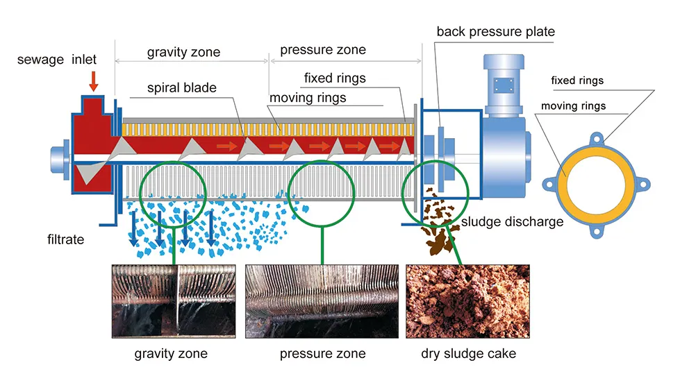 SS304 Sludge Dewatering Equipment Automatic Solid Liquid Separator Machine