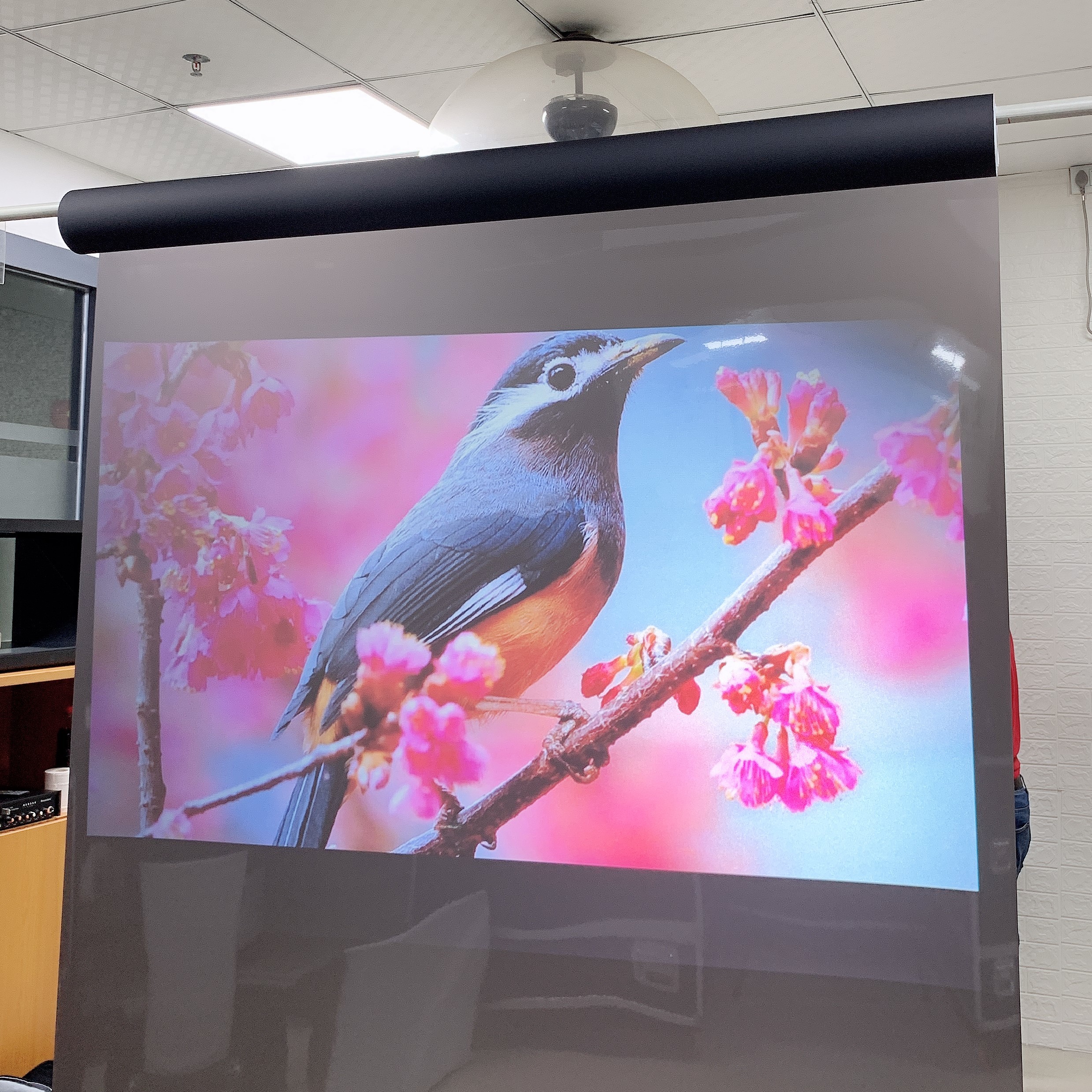 Self-adhesive Rear Projection Transparent hologram touch screen film for Window Advertising