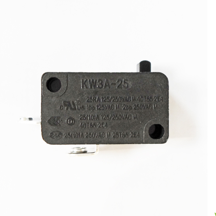 250VAC 5A Momentary Push Button Burgess Micro Switch