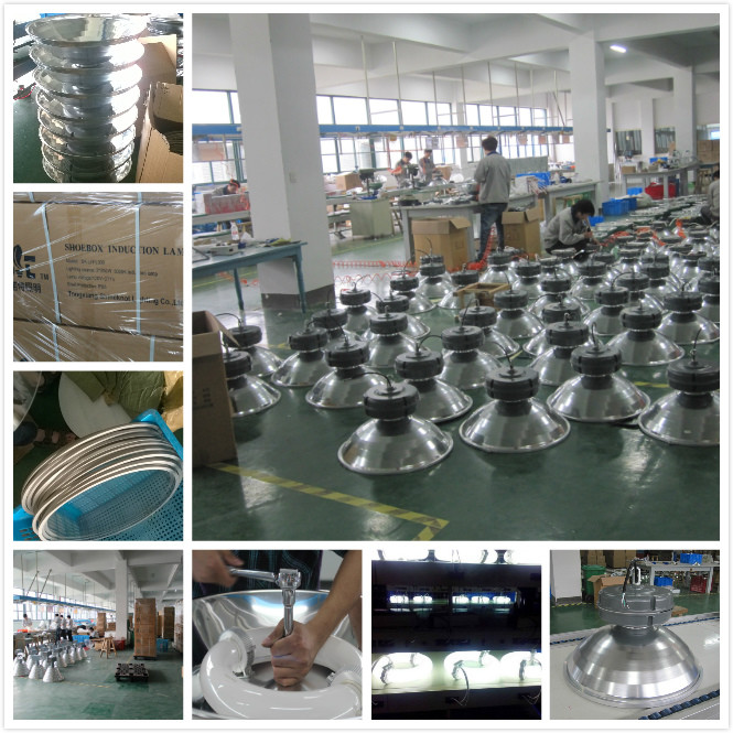 Durable Electrodeless Discharge Lamp High Brightness Fluorescent Light