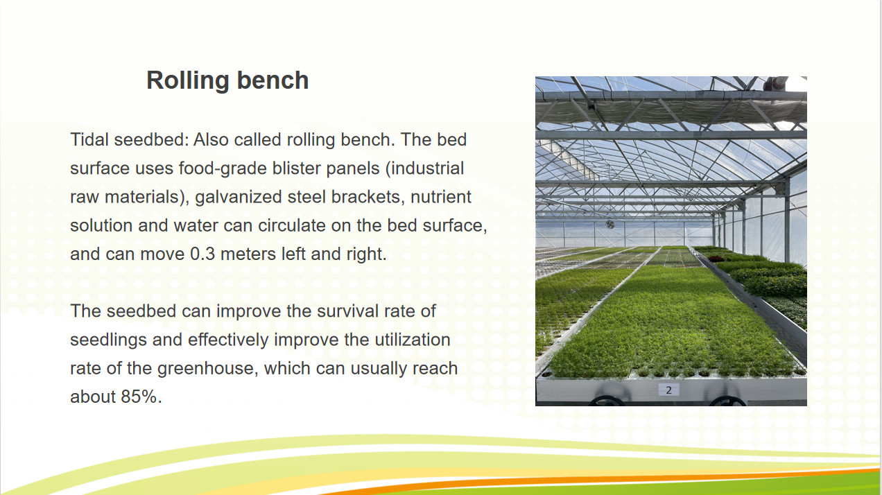 Commercial Multi Span Greenhouse Plastic Film Greenhouse For Vegetable Growing