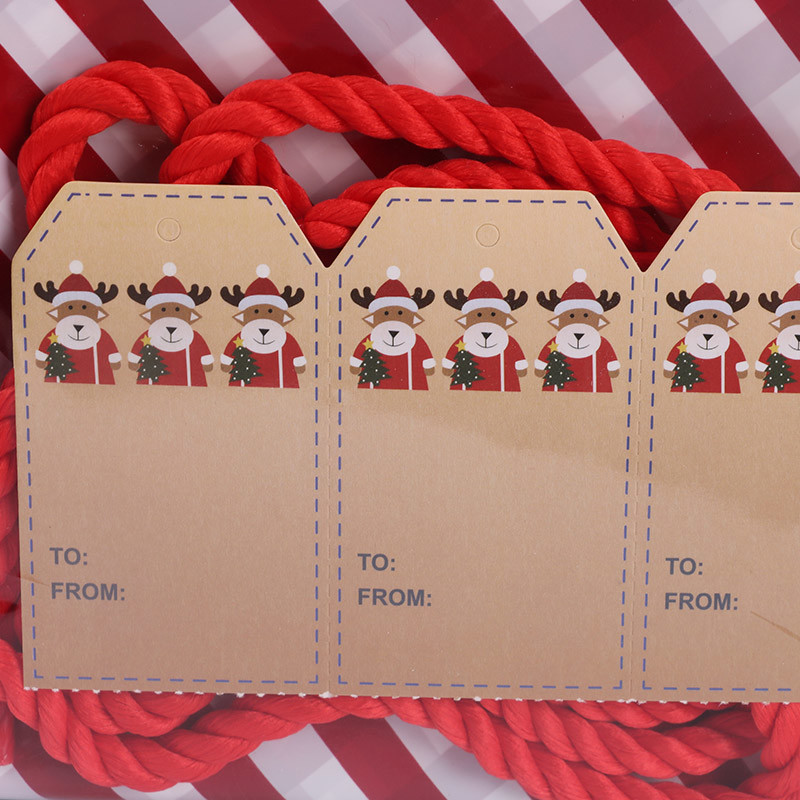 Large Reusable 50 Microns Custom Plastic Gift Bags For Holiday