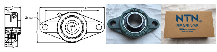 Japan Origin Cast Iron Material NSK UCP216D1 Two-bolt Pillow Block Ball Bearing