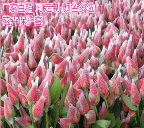 White Extruded Rose Protective Netting Sleeve PE Protective Mesh Net for Rose