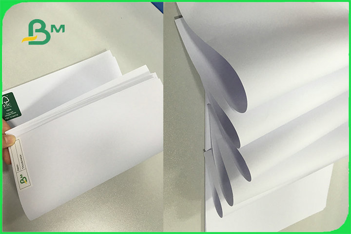 Long Grain High Whiteness Wood Free Offset Paper Uncoated Pure Wood Pulp FSC