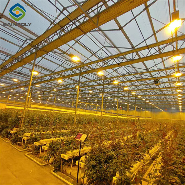 Commercial 4 Season Greenhouse Flower Planting Greenhouse UV Resistant
