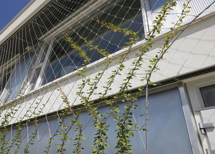 Outdoor aisi304L SS Wire Rope Mesh Steel Mesh For Climbing Plants 2.0m High
