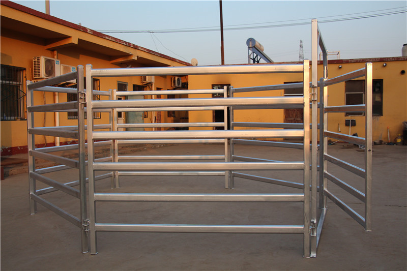 1.8m X 2.1m Oval Rail Tube Odm Heavy Duty Cattle Panel Galvanized