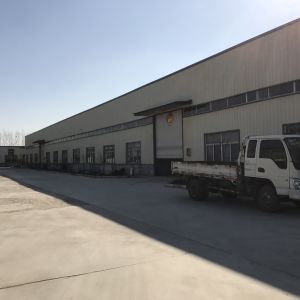 Shandong Green Medical Equipment Co., Ltd