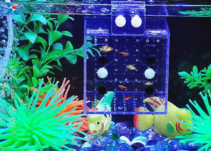 Aquarium Acrylic Modern Furniture / Clear Acrylic Isolation Box For Baby Fish