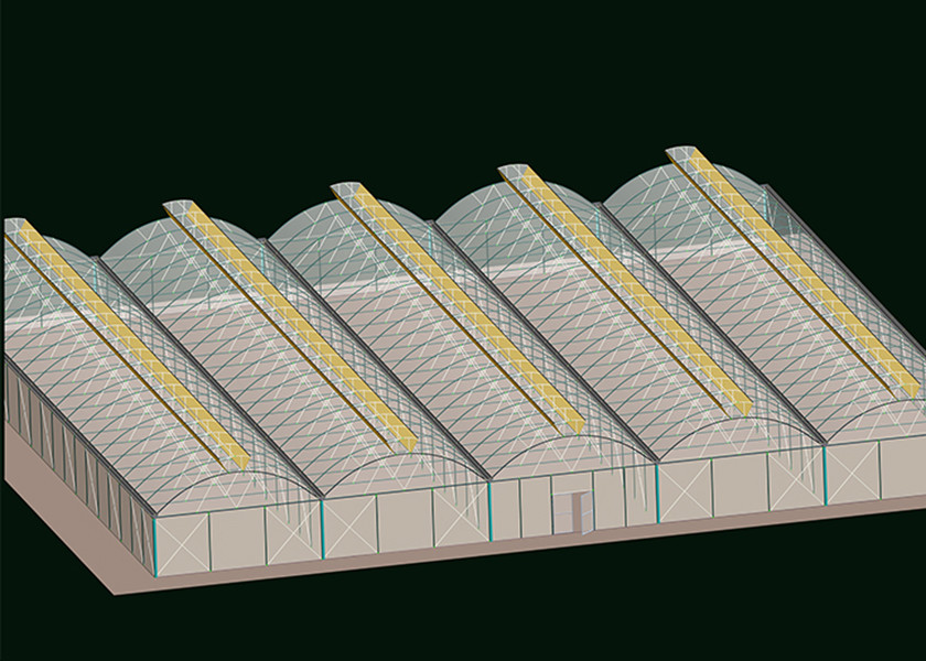 Transparent Reliable Clear Plastic Green House Poly Greenhouse Kits
