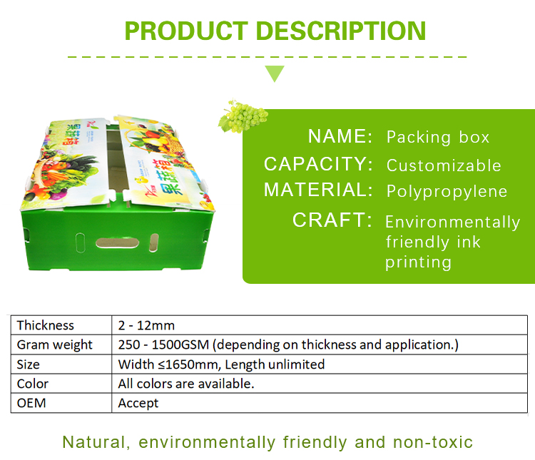 Corruone Hot Sale Customized waterproof foldable PP polypropylene sheet Material Vegetable Fruit Packaging and delivery Boxes