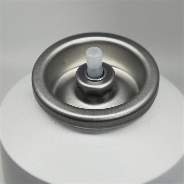 Deluxe Dry Shampoo Spray Valve for Beauty Salons with Adjustable Spray