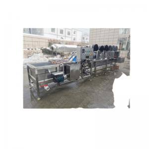China FUSHI lemon processing line orange fruit sorting washing drying waxing machine on sale
