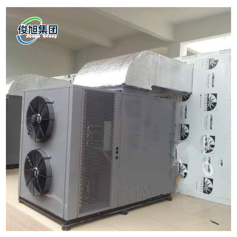 Customizable Temperature Range Large Room Portable Air Dry Machine by Junxu Heavy Industry