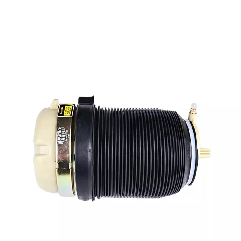 A6 C6 Air Spring Rear
