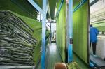 35mm Artificial Grass Plastic Brushing Machine Processing 21000 Density