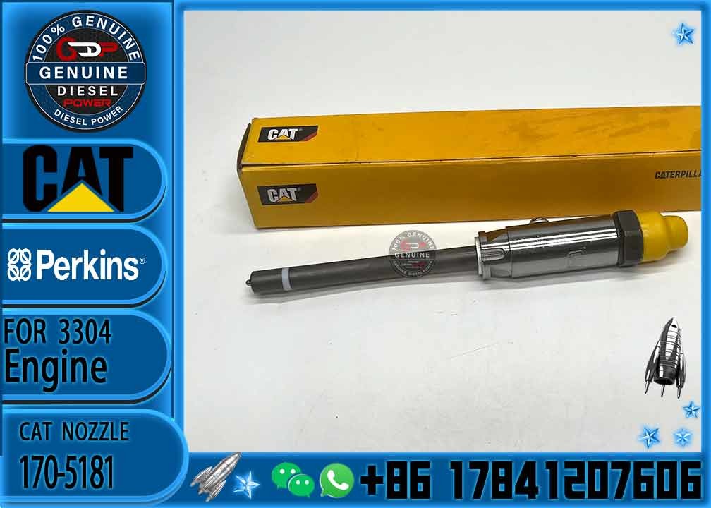 Common Rail Injector 170-5181 0R-3422 7W7026 4W7016 4W7018 7W7032 7W7031 7W7038 8N7006