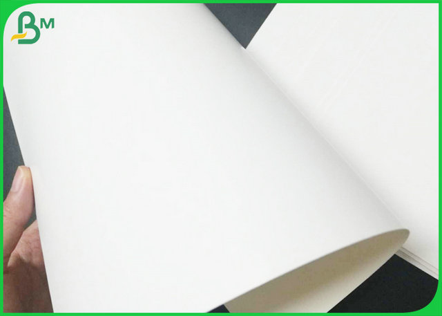 300gsm C1S Ivory Bristol Board Good Stiffness FDA Approved For Making Tray