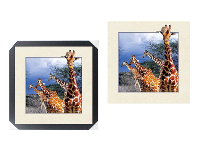 Lovely Cute Animal Art Printing 5d Lenticular Picture / HD Animal Pictures