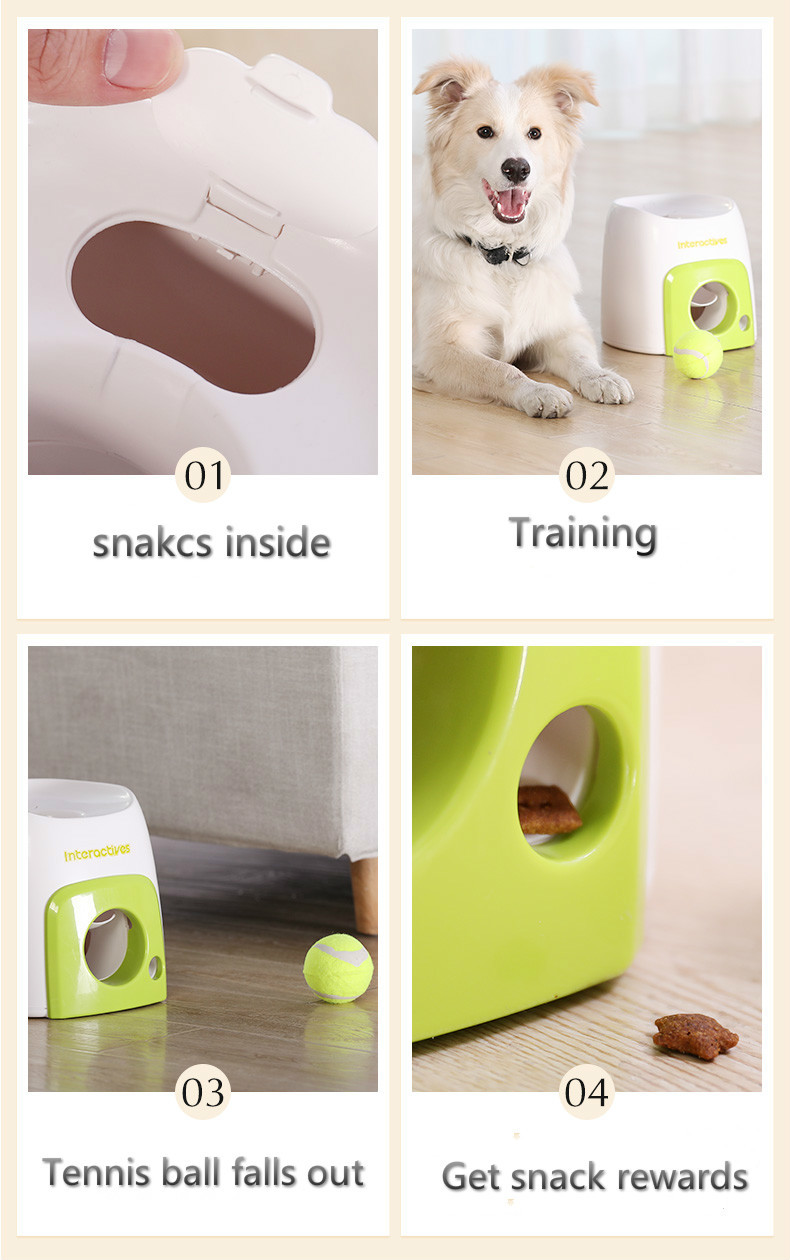 Eco Friendly PP Dog Interactive Training Feeding Machine