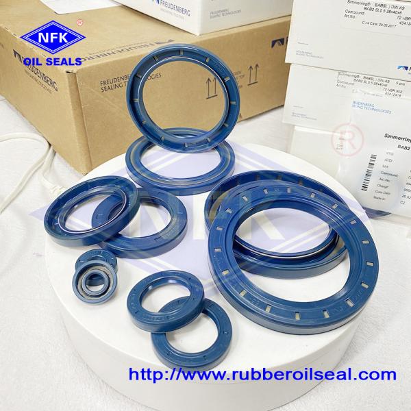 Original Germany Cfw Oil Seal 45 62 7 Spot Goods Ntr Oil Seal Low Price