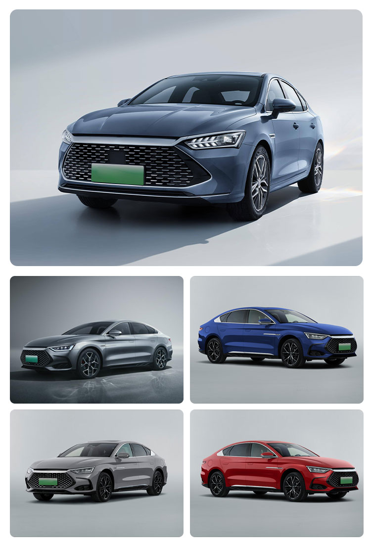 Byd Qin Plus EV Honor Edition Tram with FWD Drive and Front Disc Rear Disc Brake System