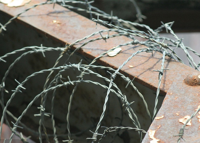 Garden Anti-Theft Double Strand Reverse Twist Stainless Steel Barbed Wire