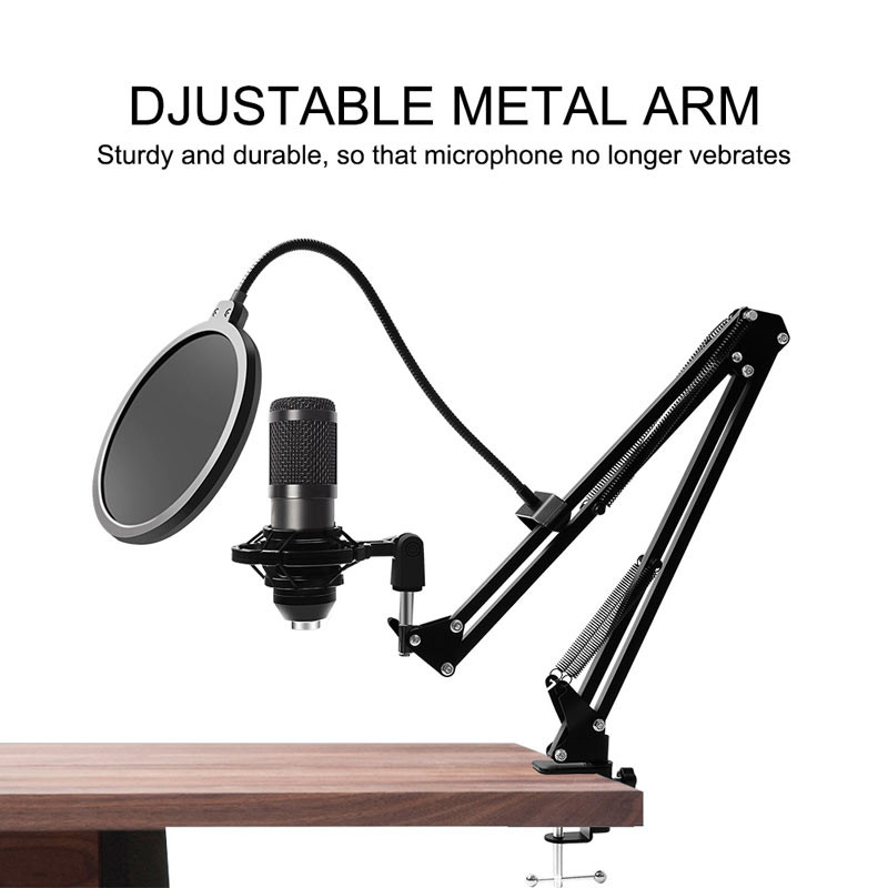 T20 V800 4lbs Desktop Mic Stand With Pop Filter , Usb Microphone With Stand