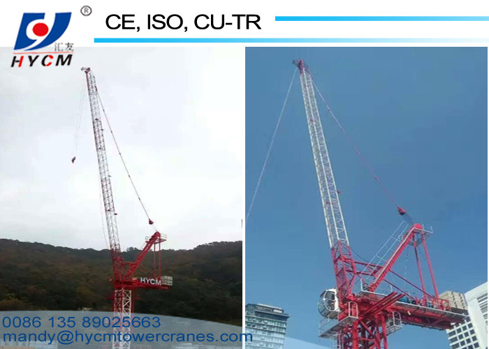 10ton 50m Tower Crane Boom Length 380V/60Hz Schneider D5020 Luffing Jib Crane