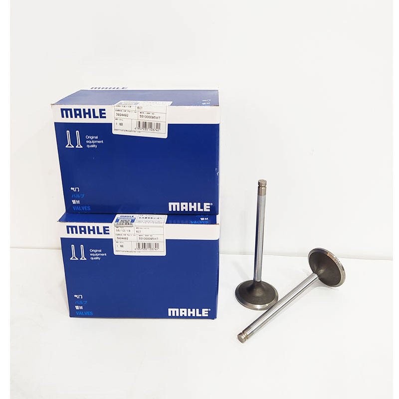 Genuine MAHLE 6CT Diesel Engine Valve 3924492 3921444 For PC300-7