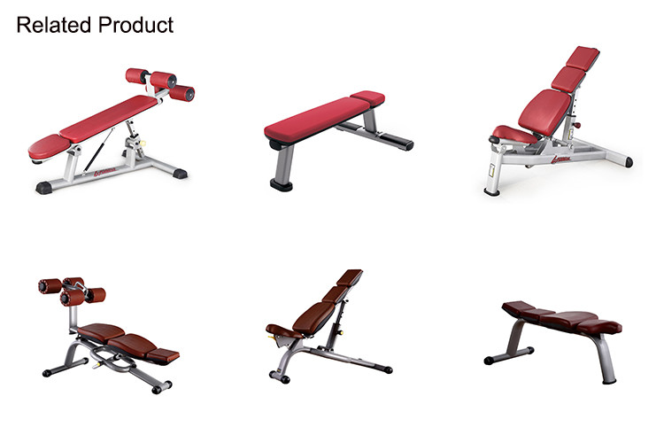 Indoor Commercial Gym Rack And Bench , Utility Bench Pro Fitness Equipment