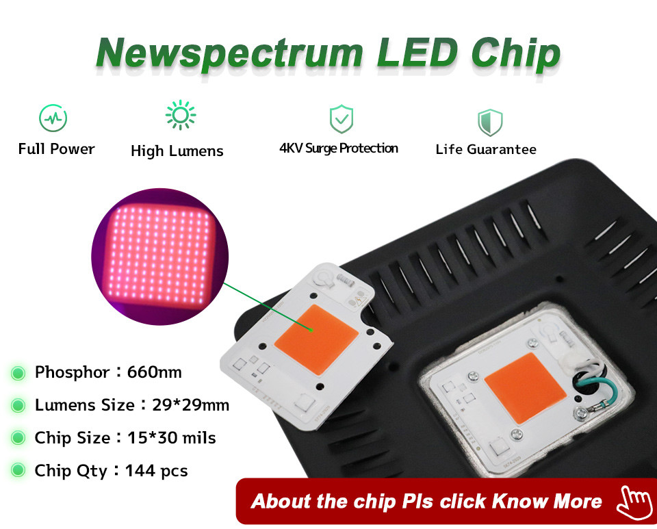 100w Led Cob Grow Lights Phytolamp Full Spectrum No Noise No Fan