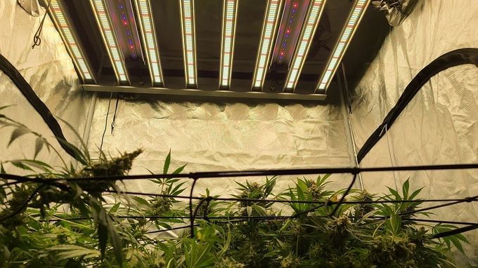RedFarm 30W Osram 730nm IR 660nm Red Emerson Effect Infrared Grow Bar Supplement Lighting For Cannabis Enhancement 1