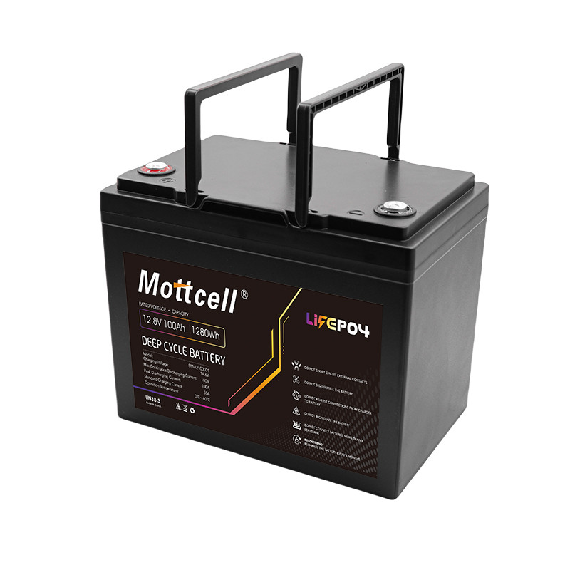 100Ah Capacity LiFePO4 Battery Pack 14.6V Max Charge Current 100A