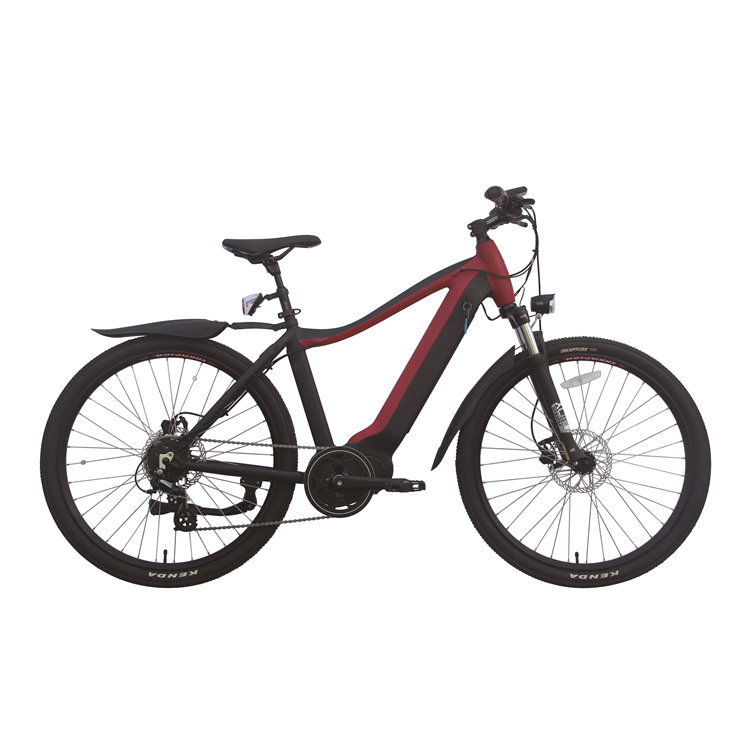 350w Portable Folding Electric Bike Hub Motor E Bike With Removable Battery 36V 10Ah