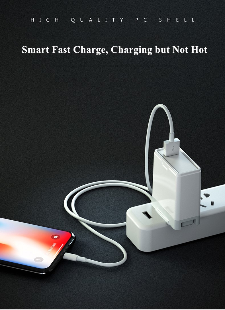 2.4A Apple IPhone Charger Cable TPE Fast Charging Cord 1M For IPhone 12 Mini Pro
