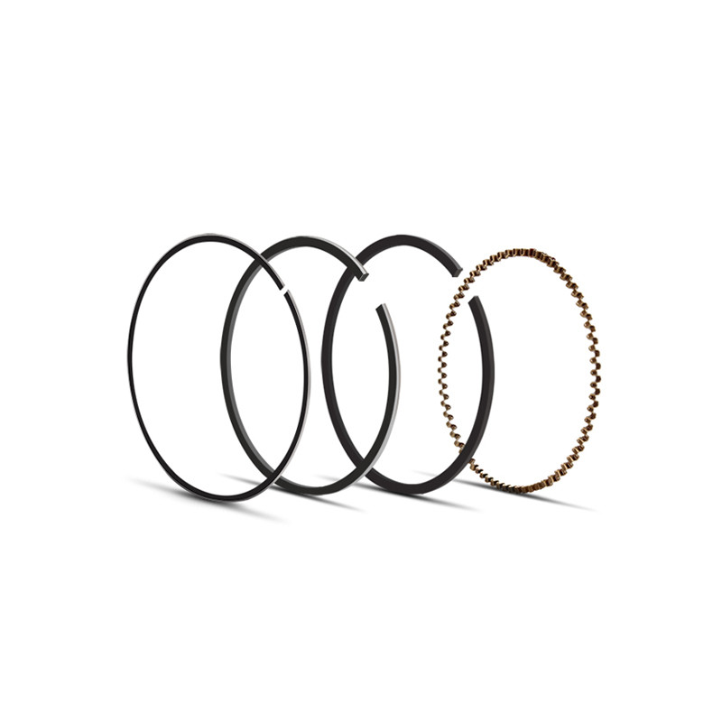 Diesel Engine Parts 8DC9 Piston Ring For Mitsubishi ME062230 ME065680 RIK Piston Ring