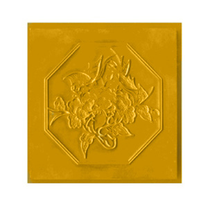 Water Soluble Photopolymer Plate