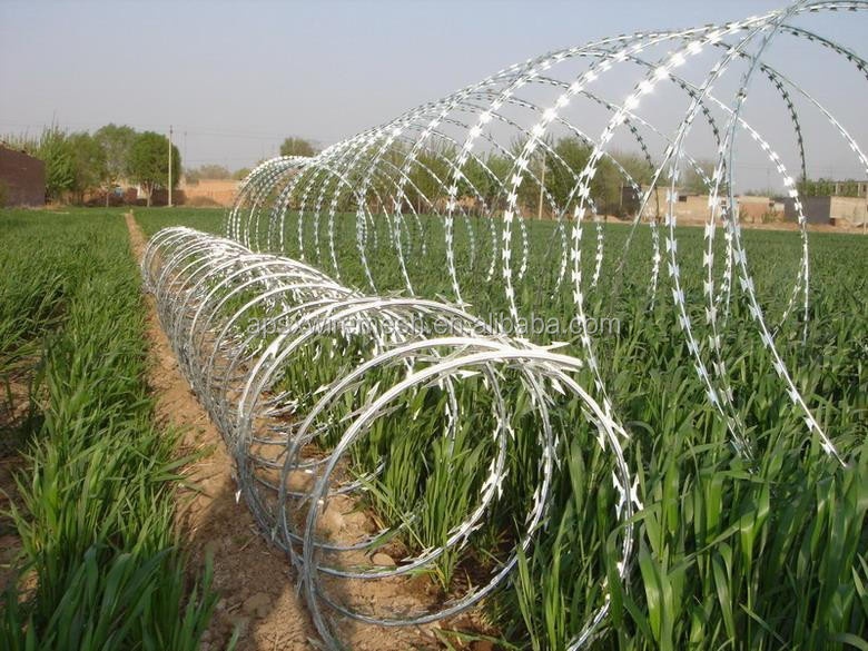 2024 KN Protect Fence Razor Barbed Wire Mesh 2.5mm In Kenya South Africa Zimbabwe