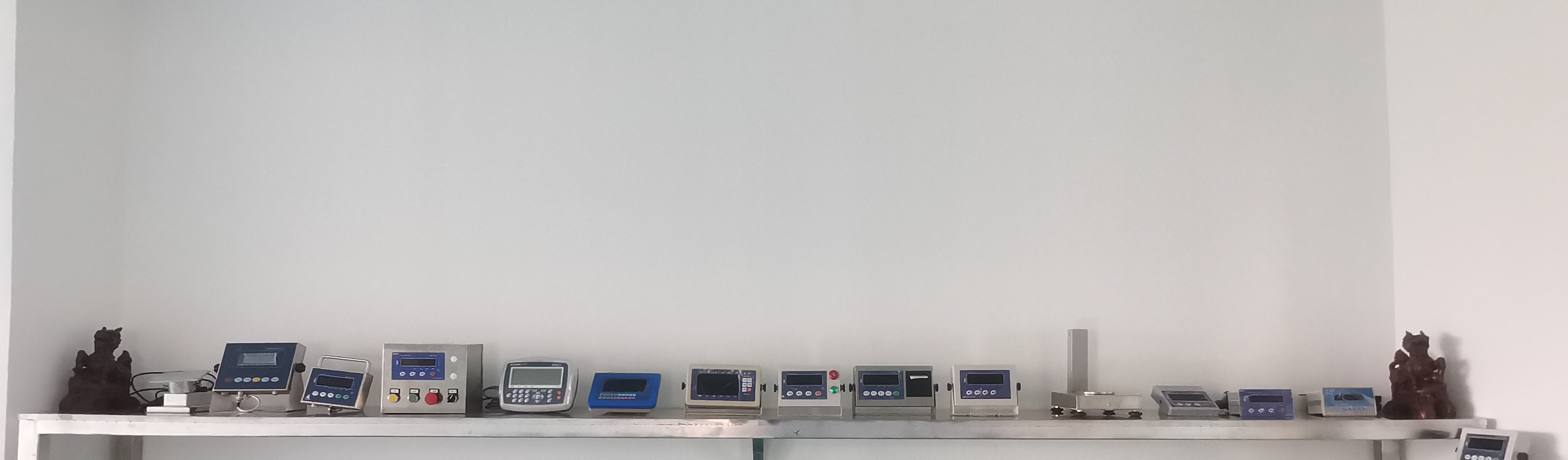240V High Precision 3KG 0.5g Customized Support Table Weight Scale for Seafood