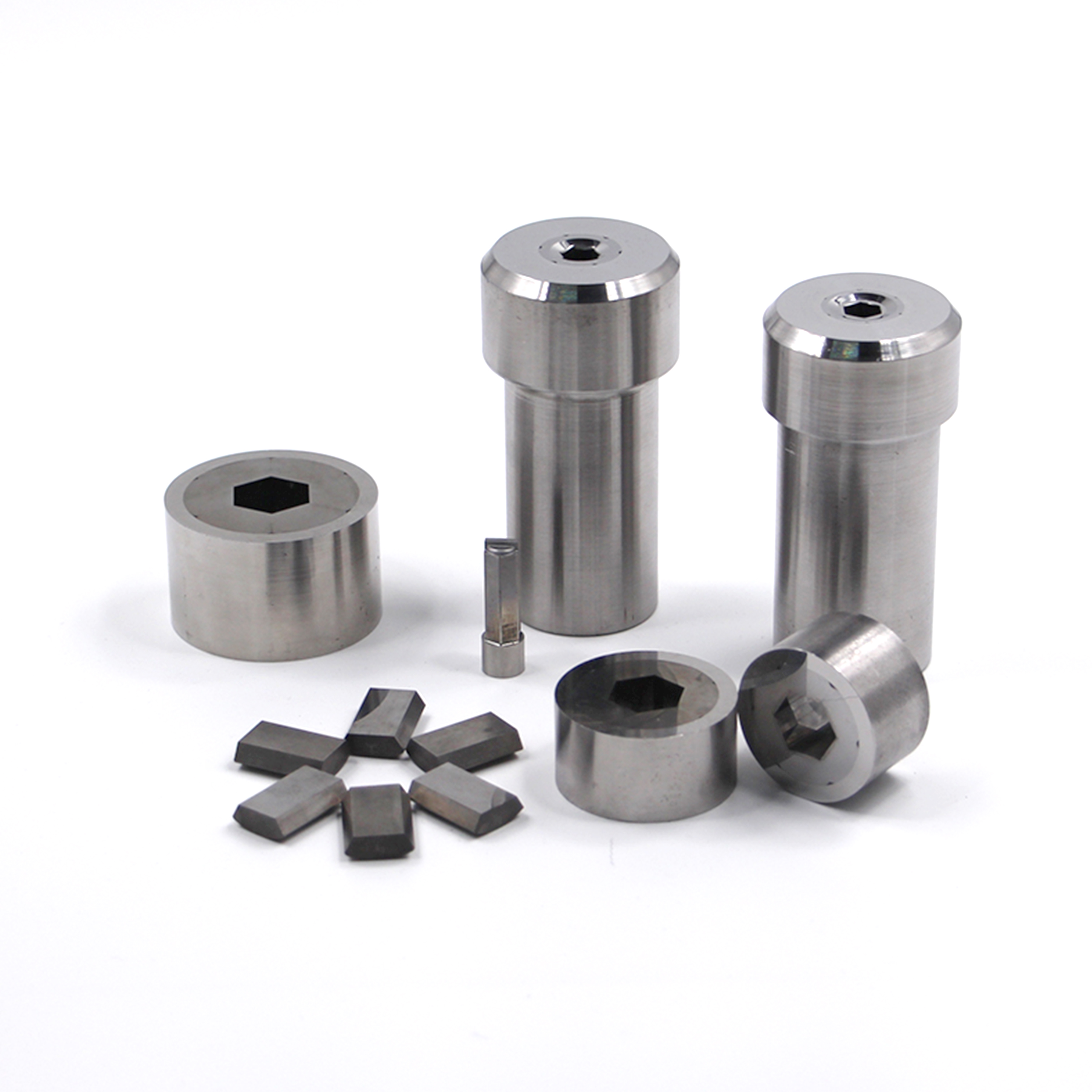 Casting Cold Forging Die