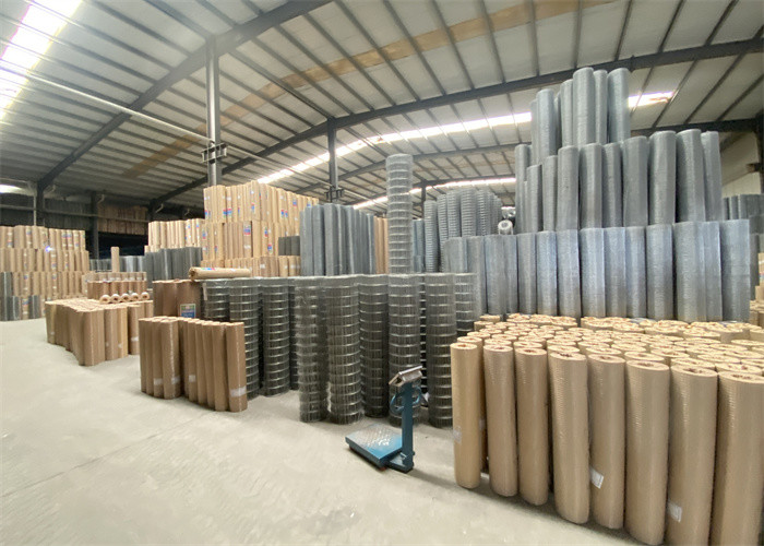 Low Carbon Steel Zinc Coating Galvanised Welded Wire Mesh Roll For Benefit