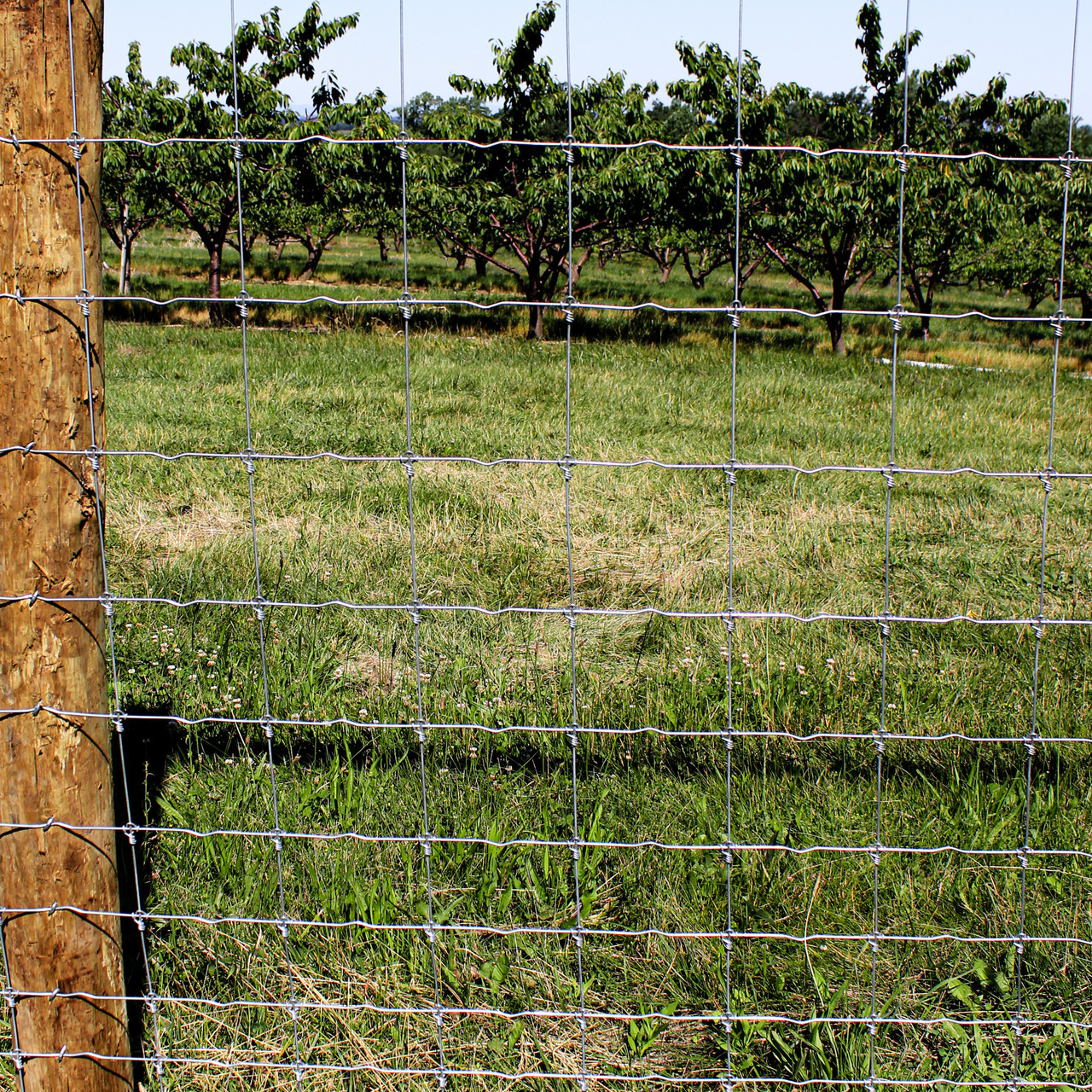 Wood High Tensile Fixed Knot Wire Fencing For Cattle High Strength Galvanized