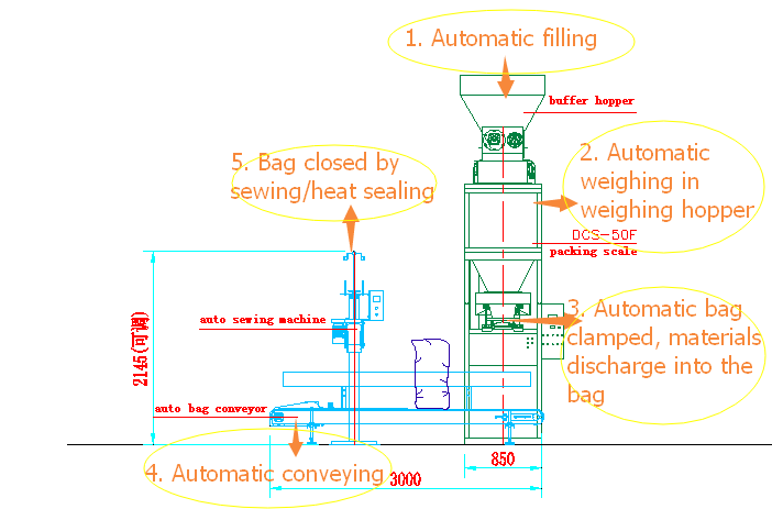 BlueRay DCS-50F Semi-Auto Weighing Filling Machine