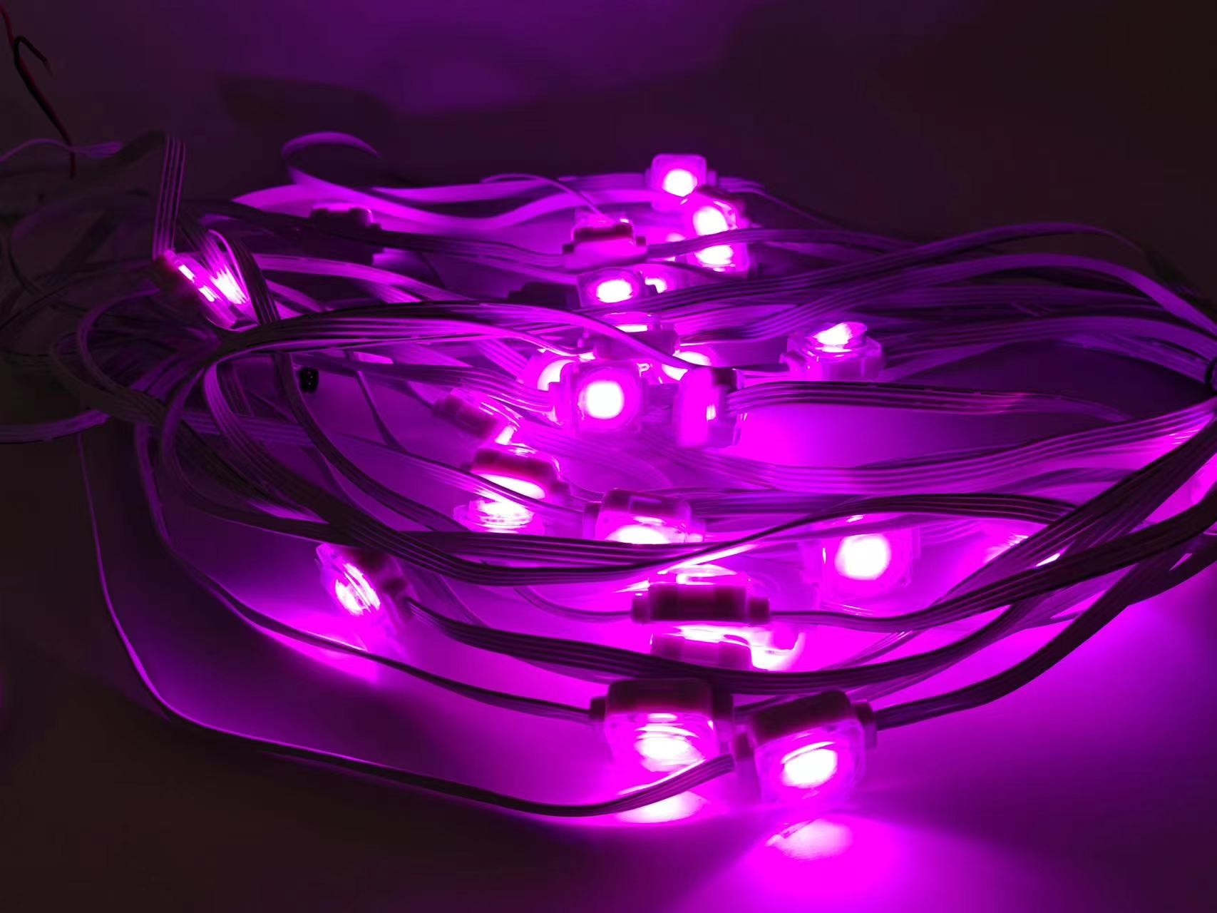 Decoration building 24V String Point Smart Eaves Lighting Holiday Ambilight 100ft RGBIC LED Permanent Eaves Light